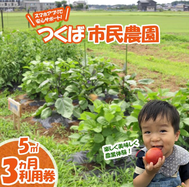 【ふるさと納税】専用スマホアプリがサポート！ハルファームの市民農園利用券(5平方メートル 3ヵ月間) | 茨城県 つくば市 農園 貸農園 貸し農園 農業体験 農業 野菜収穫 体験 野菜体験 チケット 旬野菜 採れたて野菜