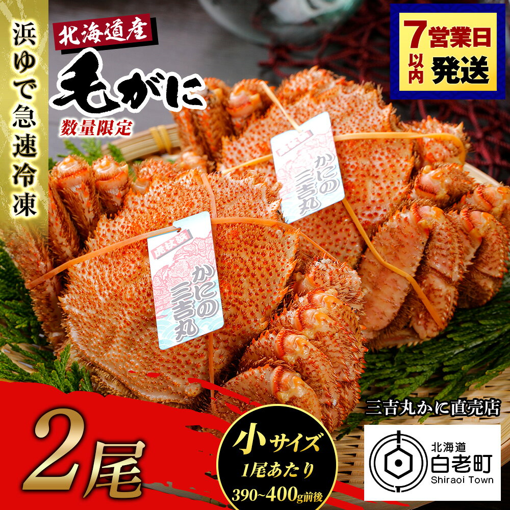 【ふるさと納税】【小サイズ】北海道産 冷凍ボイル毛ガニ (390g-400g前後) 2尾 選べる発送月毛がに 毛ガニ 毛蟹 蟹 カニ 北海道ふるさと納税 白老 ふるさと納税 北海道 おせち