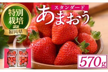 ＜予約受付中！2026年2月より順次発送予定＞うるう農園のスタンダードあまおう(計570g・285g×2P)  苺 いちご イチゴ 果物 フルーツ 国産 福岡県 ヨーグルト ジャム スムージー 冷蔵 特別栽培＜離島配送不可＞【ksg1218】【うるう農園】