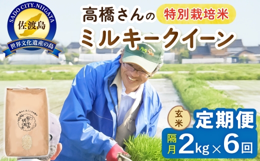 【定期便 令和8年産新米 全6回】 佐渡島産ミルキークイーン 玄米 2kg 令和8年産新米 特別栽培米 高橋農園 | 新潟県産ミルキークイーン 佐渡産ミルキークイーン ミルキークイーン お米 米 玄米 げんまい おこめ コメ 2キロ にいがた さど 新潟県 佐渡市