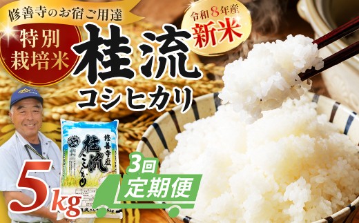【3回定期便】米 修善寺産 桂流こしひかり 5㎏ ＜ 令和8年産 ＞ | 新米 白米 お米 こめ コメ ライス コシヒカリ こしひかり 精米 国産 米 ごはん 特別栽培米 お取り寄せ 定期便 3回 静岡 伊豆