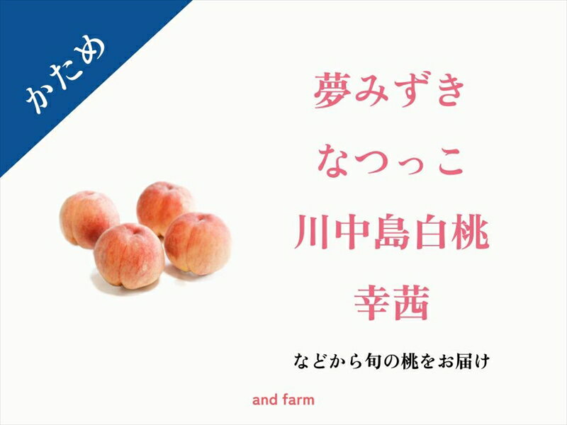 【ふるさと納税】 【2025年先行予約】【かため桃】桃好き必見！桃のリレーが楽しめる！季節の【桃】おうち用（もも）お試しセット 約2kg 約5~8玉 ふるさと納税 桃 もも ピーチ かため桃 白桃 黄桃 おすすめ 山梨県 南アルプス市 送料無料 ALPDS002