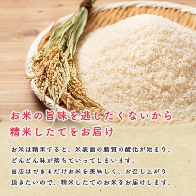 ふるさと納税 男鹿市 令和6年産【白米】家計お助け米 あきたこまち 27kg 秋田県 男鹿市|23_kml-012701 |  | 02