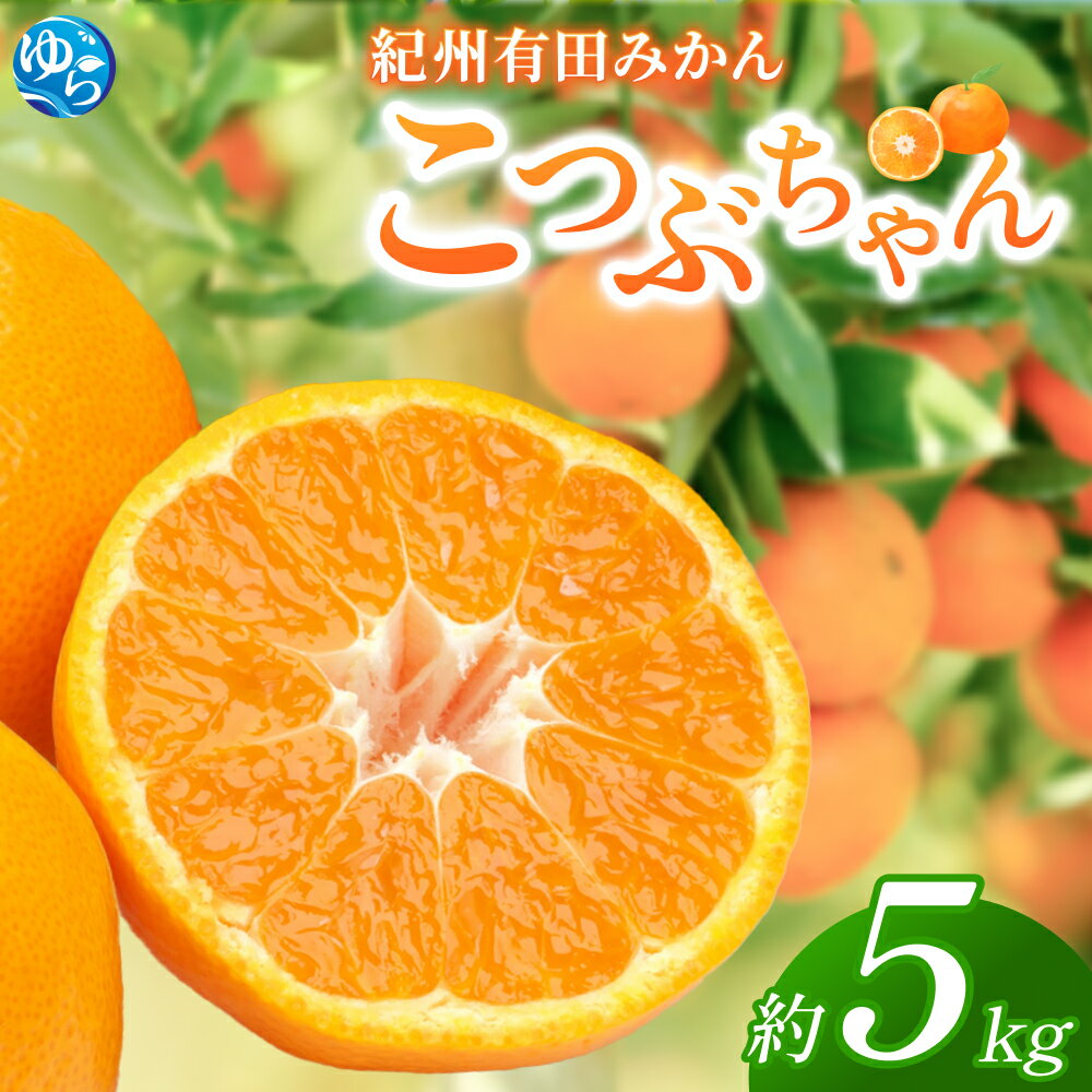 【ふるさと納税】紀州有田みかん　こつぶちゃん　約5kg | ※2025年11月下旬～2026年1月中旬頃順次発送予定 | みかん ミカン 有田 小粒 和歌山 柑橘 フルーツ 果物 くだもの 家庭用 濃厚 先行予約 期間限定 農家直送 5kg 由良町 ふるさと納税 返礼品 お礼の品