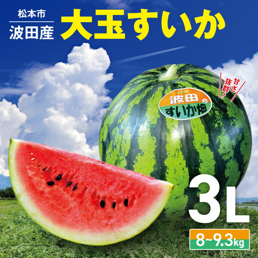 【ふるさと納税】【先行予約】 松本市 波田産 大玉すいか（サイズ3L）│ 信州 松本市 長野県 西瓜 すいか 果物 大玉 スイカ フルーツ くだもの フルーツ ふるーつ 大玉スイカ