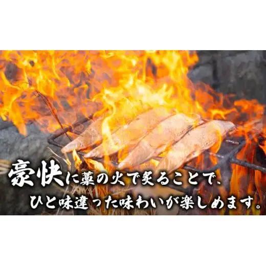【 藁焼きかつおたたき 】 藁焼きかつおタタキ ポン酢 塩付き 1.2kg以上