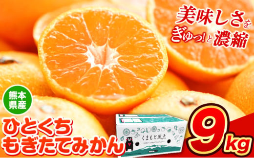 訳あり みかん ひとくちもぎたてみかん 約9kg (9kg×1箱) S-3Sサイズ 訳あり ご家庭用 熊本県産 （荒尾市産含む） 期間限定 フルーツ 果物 旬 冬 柑橘 小玉 みかん《11月中旬-12月上旬頃出荷》