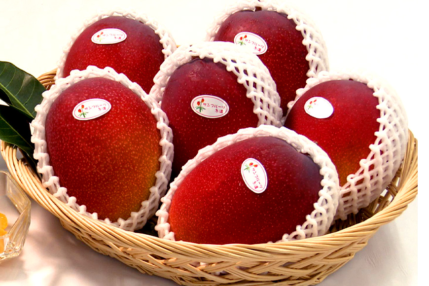 【2026年発送】沖縄県知事賞４度受賞（サンフルーツ糸満）マンゴー　秀品　1kg