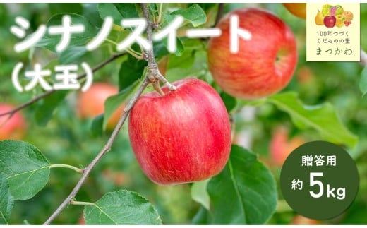 KR01-26A 【先行予約】りんご シナノスイート（大玉）約5kg 贈答 / 2026年10月中旬頃～配送予定 // 長野県 南信州 ギフト 贈答 リンゴ 林檎 大玉サイズ 農家直送 農家支援 産地直送