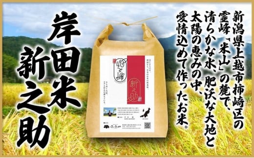 米 上越市柿崎区産 新之助 5kg お米 コメ おこめ 新潟 新潟県産 にいがた 上越 上越産