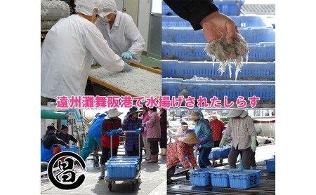 わけあり しらす 遠州灘舞阪港直送 しらす干し 800g（400g×2袋） 冷凍 シラス 訳アリ 【配送不可：離島】 浜松市