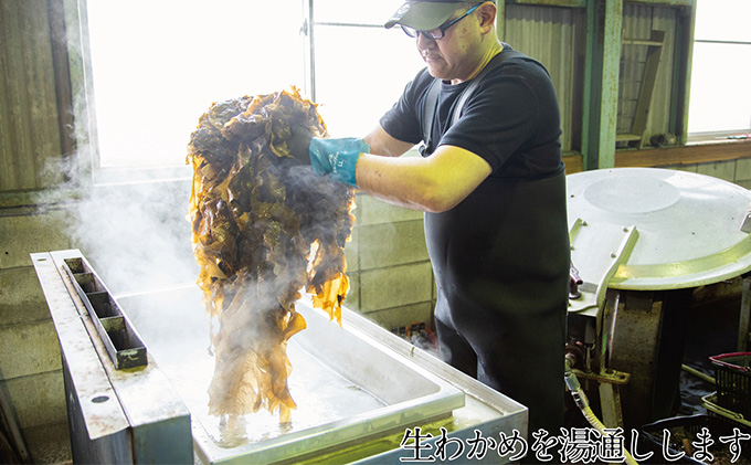 湯通し塩蔵 瀬戸内 わかめ 500g×2袋【岡山 瀬戸内海 天然 塩蔵】