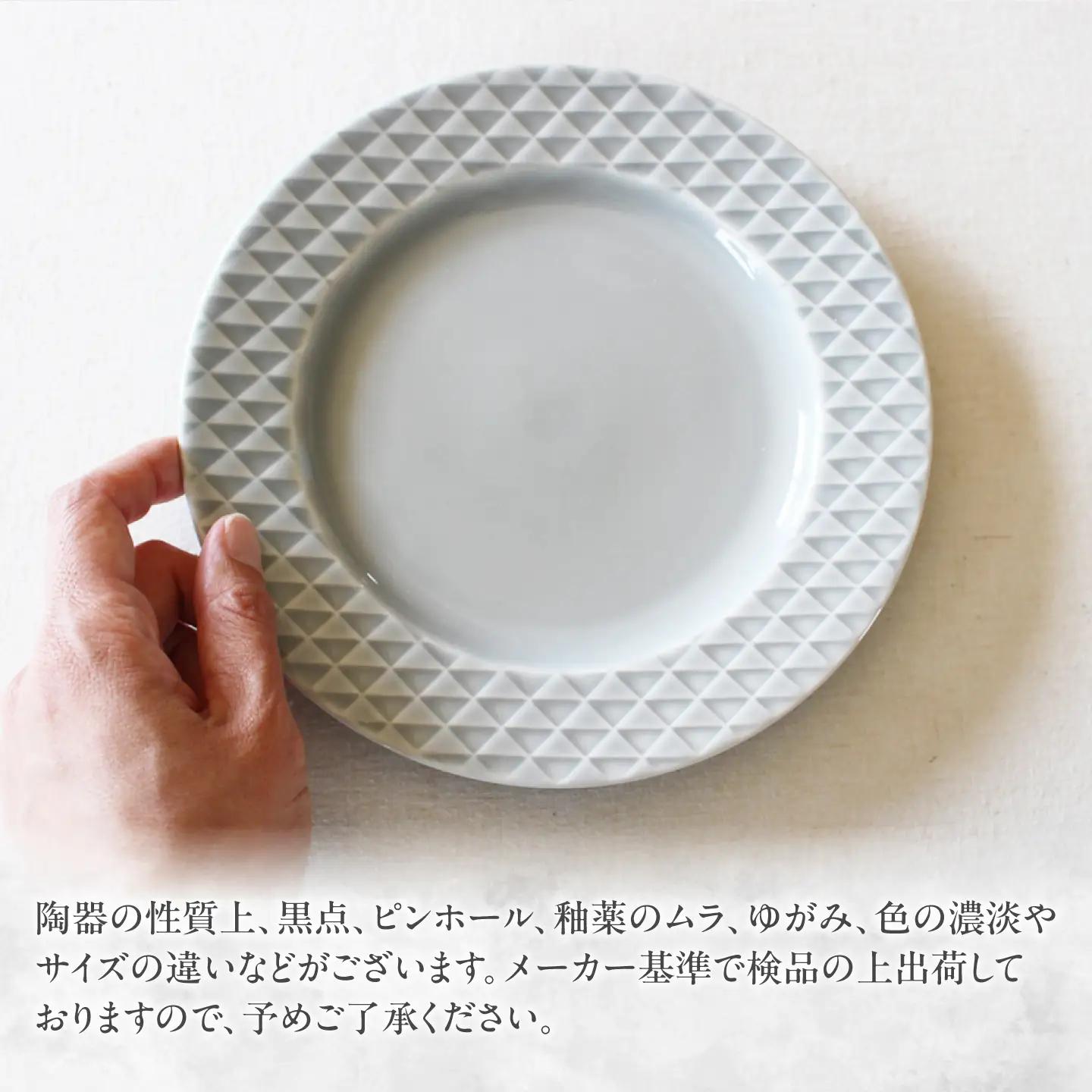 【美濃焼】 吉祥 19リム皿 鱗 2枚セット 瑞浪市 / JS企画 小田陶器  陶器 食器 お皿 皿  お皿 リムプレート 丸皿[AZAZ337]