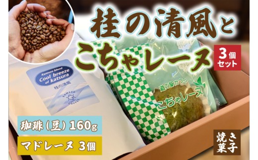 珈琲とこちゃレーヌ3個セット【桂の清風(豆)】  マドレーヌ 焼き菓子 焼菓子 洋菓子 お菓子 スイーツ デザート 個包装 セット 珈琲豆 コーヒー豆 珈琲 ブレンド 自家焙煎 特産品 ご当地 地元 お取り寄せ 茨城県 城里町 (AF092)