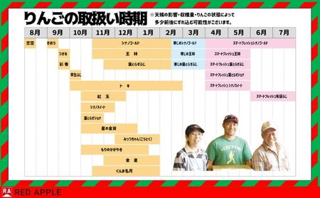 りんご 【 1月発送 】 13度糖度保証 家庭用 葉とらず ふじ ＆ 王林 約 10kg 【 弘前市産 青森りんご  果物類 林檎 リンゴ  】