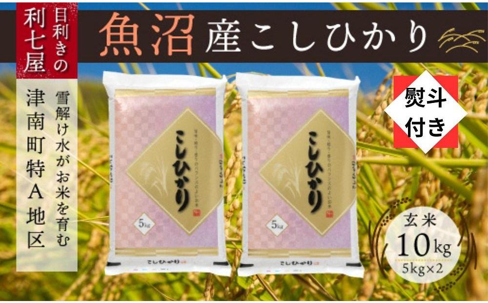 無地熨斗付き【令和8年産】【魚沼産コシヒカリ 玄米10kg（5kg×2袋）】雪解け水がお米を育む、津南町特A地区の美味しいお米。127524-098