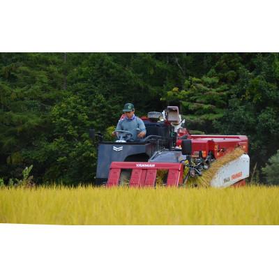 ふるさと納税 白馬村 白馬産コシヒカリ白米10kg |  | 02
