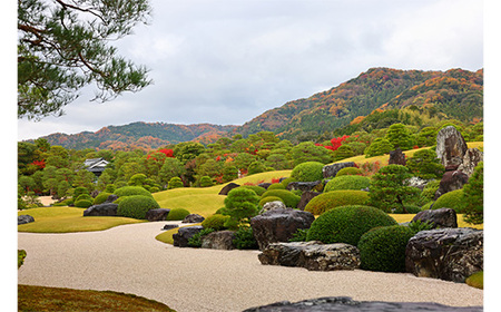＜足立美術館＞足立美術館ご招待券ペアチケット[米子髙島屋選定品]【美術館 チケット 招待券 日本庭園】【18-Q1-01】