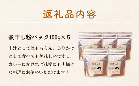 煮干し粉 100g 5個 富山県 氷見市 煮干し 粉 調味料 加工品 国産 イワシ 鰯