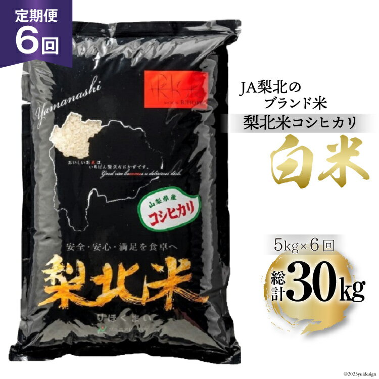 【ふるさと納税】 【定期便】【6回 米 定期便 】 梨北米 コシヒカリ 5kg×6回 総計30kg [梨北農業協同組合 山梨県 韮崎市 20742740] こしひかり お米 おこめ こめ コメ 精米 30キロ ご飯 ごはん 白米 国産 JA梨北