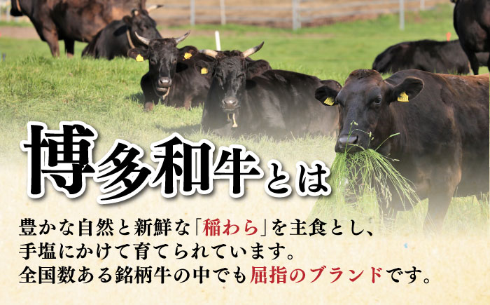 【全12回定期便】博多和牛 サーロイン ステーキ 200g × 4枚《築上町》【久田精肉店】 [ABCL076] 480000円 48万円 480000円 48万円