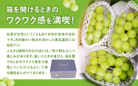 【2025年発送】朝どれ直送！シャインマスカット 4.0kg相当 先行予約 先行 予約 山梨県産 産地直送 フルーツ 果物 くだもの ぶどう ブドウ 葡萄 シャイン シャインマスカット 新鮮 人気 お