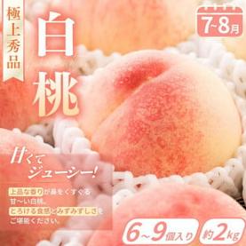 【定期便4回】旬の フルーツ定期便 / はれひめ みかん いちご まりひめ 桃 秀品 柿 種無し フルーツ 定期便 ふるーつ定期便 フルーツ 詰め合わせ 果物定期便 【kgr025】