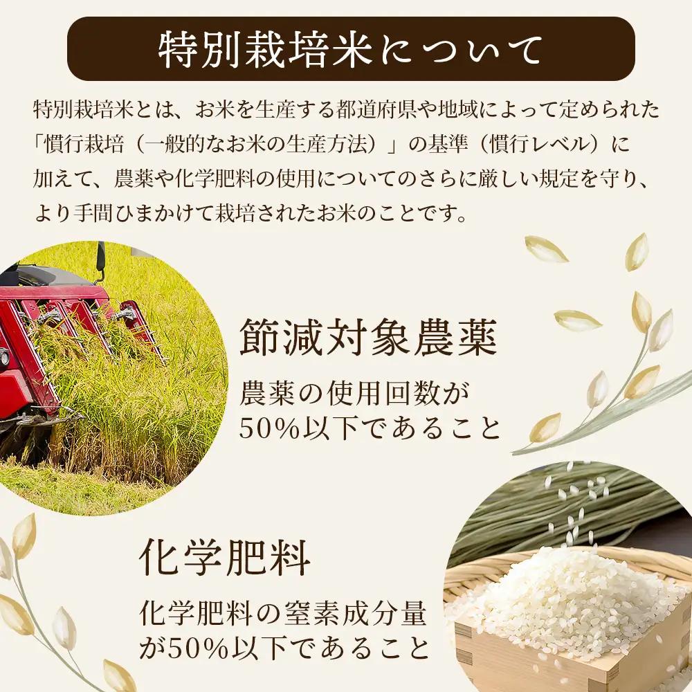 【令和8年産 新米予約】特別栽培米「ヒノヒカリ 玄米」20kg 114-0604