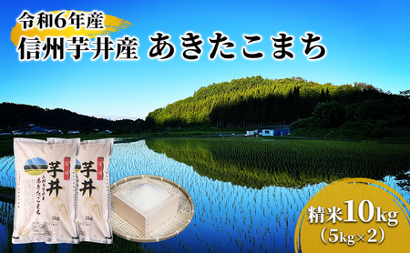 米 令和7年産　信州芋井産あきたこまち精米10kg（5kg×2）お米 ごはん コメ 白米 精米 お取り寄せ 信州 長野