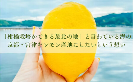 百章3点セット（檸檬胡椒・レモンシロップ・生姜の佃煮）　レモン れもん 調味料 スパイス 薬味 レモネード 佃煮 詰め合わせ 京都府 宮津市