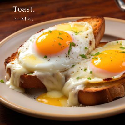 ふるさと納税 小豆島町 エキストラバージン(EXV)オリーブオイル3本入ギフト(150ml×3本入) |  | 03