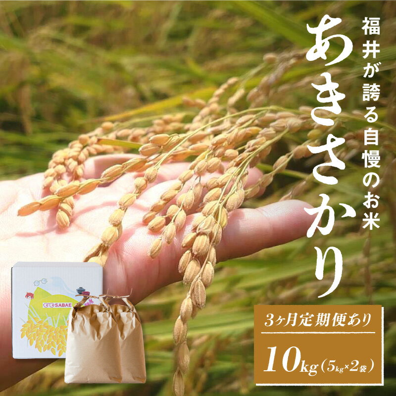 【ふるさと納税】【数量限定！20袋限定販売！！】【選べる配送回数！】【令和7年産 新米！】あきさかり 5kg×2袋（計10kg）定期便あり！[C-10103] / お米 新米 精米 ご飯 ごはん 米農家 農業男子 鮮度抜群 福井県鯖江市 先行予約