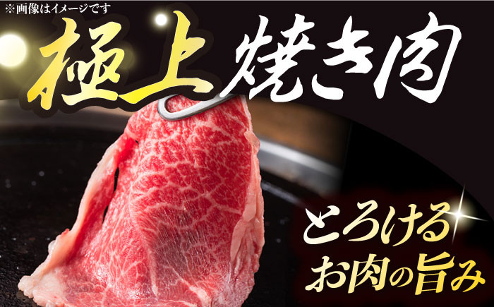 長崎和牛 霜降り肉 約1kg 焼肉用