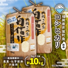 【令和6年産】コシヒカリ　農薬不使用(栽培期間中)  福岡県芦屋町産 10kg