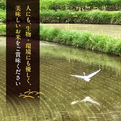 ふるさと納税 赤磐市 先行受付 ホタル舞う里山の棚田米 無洗米 精米10kg 令和8年産 [NO5765-1521] |  | 03
