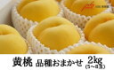 【ふるさと納税】No.2302黄桃　品種お任せ約2kg【2025年発送　先行予約】