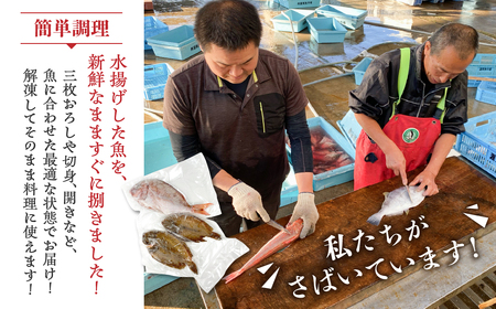 旬の鮮魚 おまかせ3種セット 加熱用 下処理済み 捌き済み 簡単 鮮魚 魚介類 魚セット 愛知県 田原市 海鮮 魚介類 魚 3枚おろし 開き  おすすめ 料理 調理 簡単調理 手軽