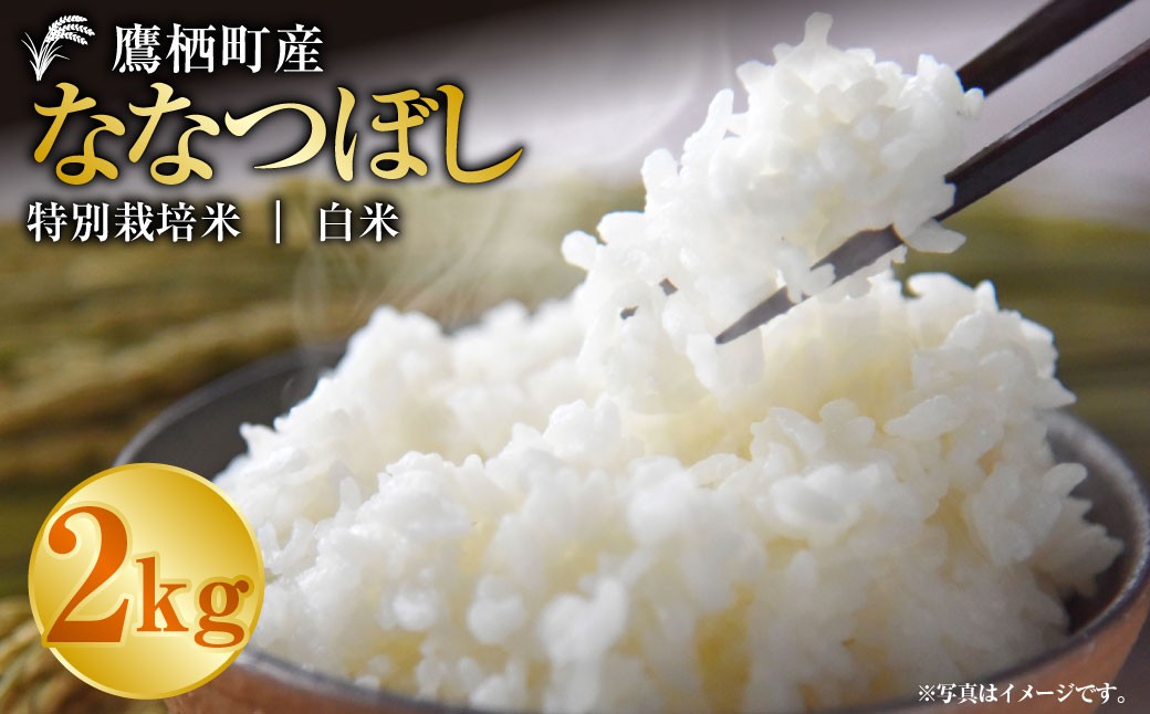 
                  【令和7年産】 ななつぼし（白米） 2kg お米 米 コメ 精米 白米 精白米 主食 ご飯 ごはん  白ご飯 常温 北海道 鷹栖町
                
