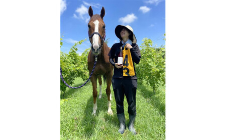 美浦村産のブドウを使用したワインと競走馬調教用ゼッケンのワインバッグ