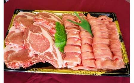 豚肉 上州麦豚セット 600g 豚肉