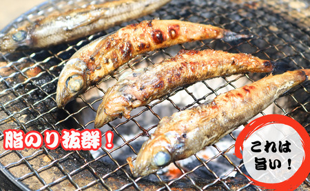 メヒカリ一夜干し 60尾 約1.6kg 銚子港水揚げ 冷凍 めひかり メヒカリ 目光 バラ凍結 無添加 干物 白身魚 焼魚 名物 一夜干し 天ぷら 唐揚げ 海鮮 新鮮 グルメ お取り寄せ 贈り物 人気