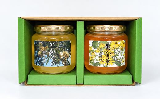 国産純粋完熟はちみつ大瓶セット(アカシア・黄金草)580g×2本[16-1658]