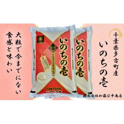 【令和6年産】多古町産いのちの壱 精米10kg(5kg×2袋)【配送不可地域：離島・沖縄】【1396308】