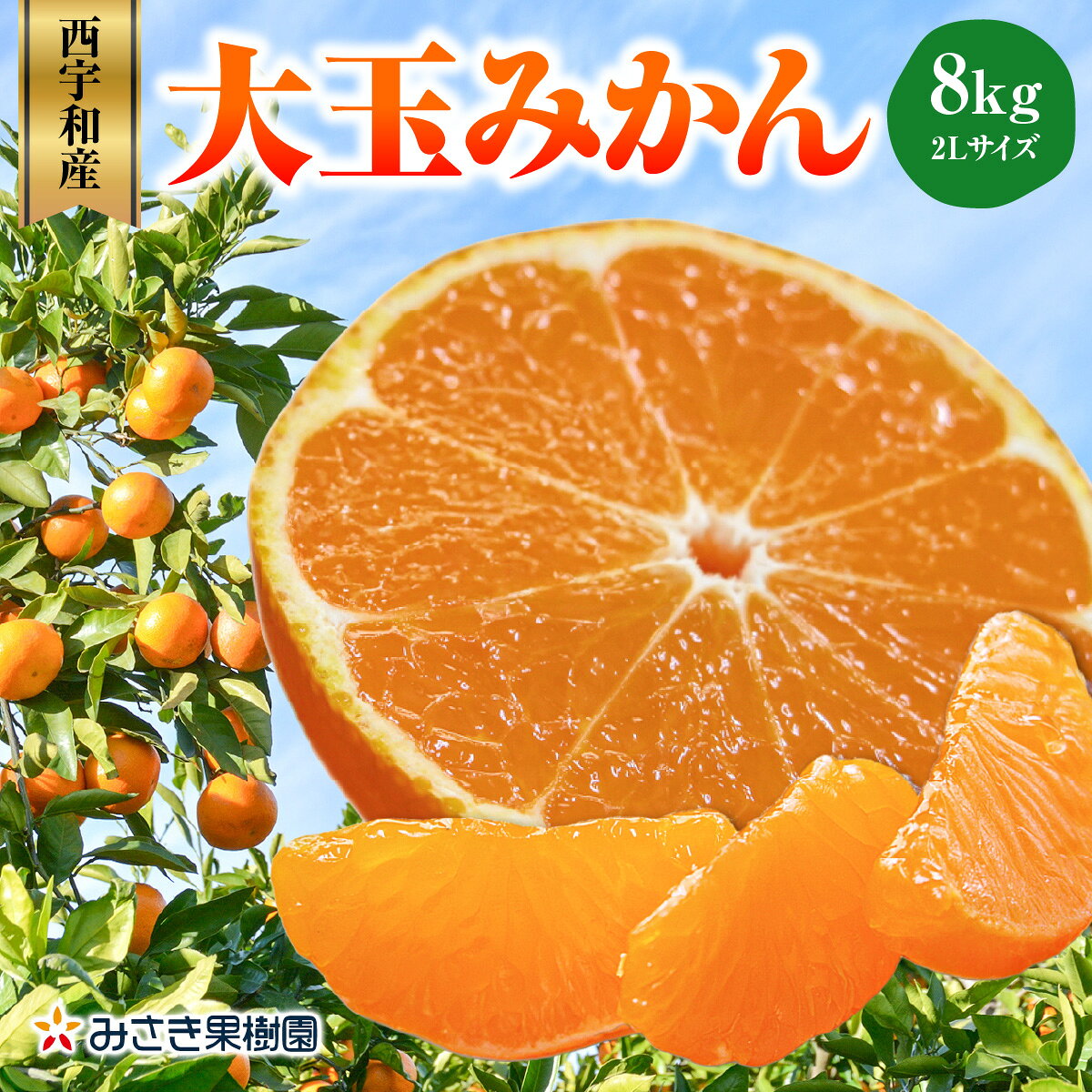 【ふるさと納税】【先行受付】西宇和産大玉みかん2Lサイズ8kg【C21-40】_【1623773】YWTBC021