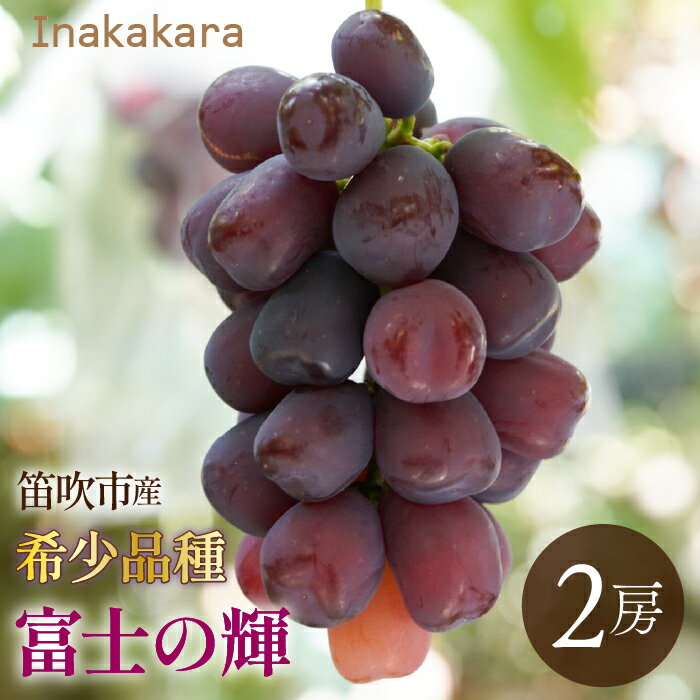 【ふるさと納税】【2026年発送★先行予約】　Inakakara 希少品種「富士の輝」2房(約1.1kg~1.3kg) 192-024-26y ふるさと納税 おすすめ ランキング ぶどう ブドウ 葡萄 笛吹市 国産 人気 期間限定 果物 フルーツ 旬 山梨県 送料無料 192-025