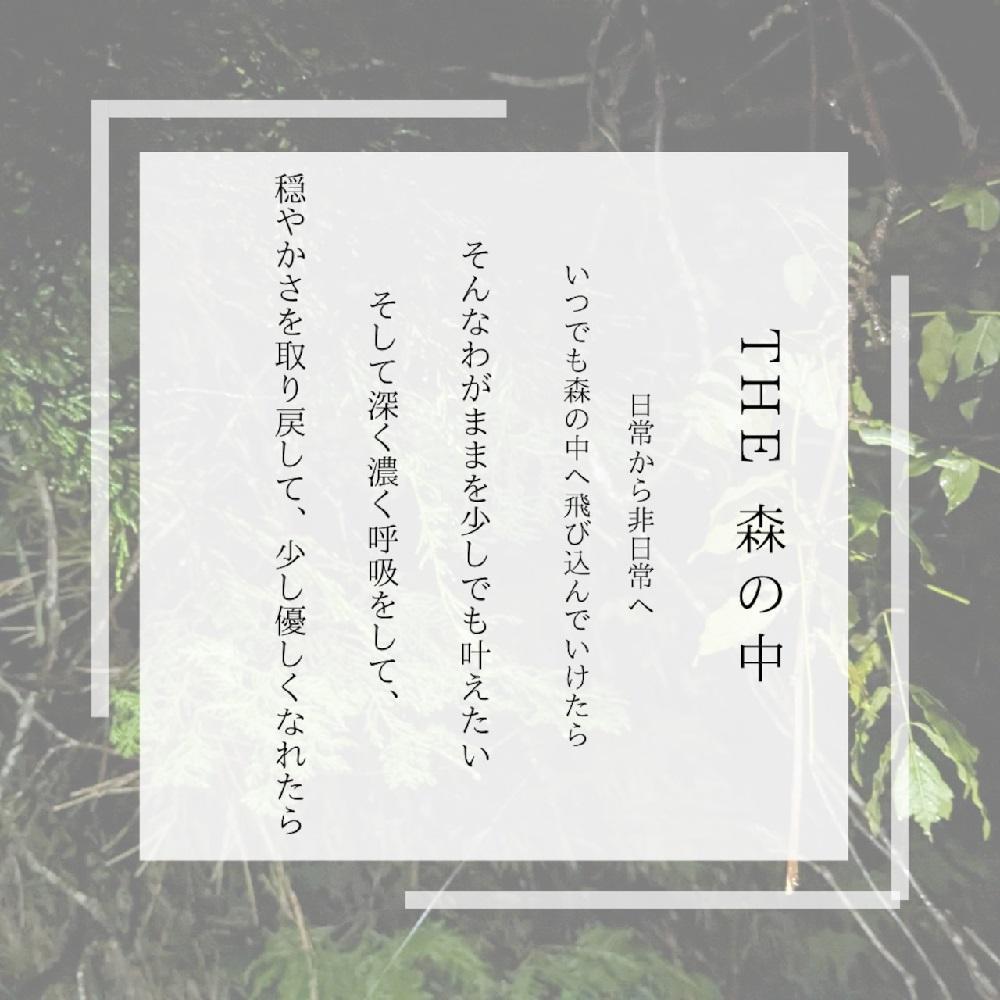 湯布院　ＭＩＫＡＴＡ　オリジナルブレンドエッセンシャルオイル　THE森の中-MORI no NAKA-