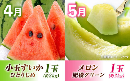 【先行予約】【全6回定期便】果物ざんまい定期便[AYZZ007]