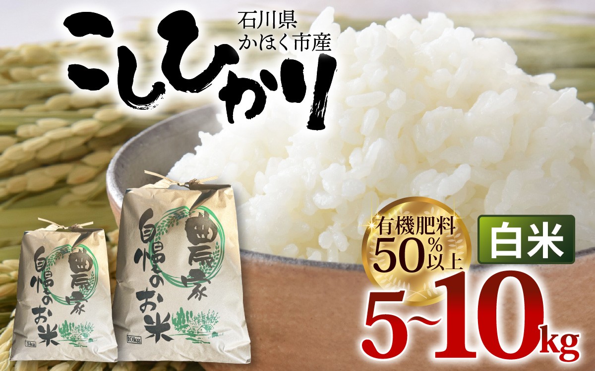 
                  【令和8年産 新米】【選べる容量】コシヒカリ 白米 5kg ～ 10kg | コシヒカリ 精米 白米 お米 こめ コメ 5キロ 10キロ 単一原料米 国産 食品 常温 ご飯 お取り寄せ 送料無料
                