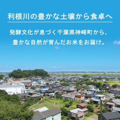 ふるさと納税 神崎町 《 限定復活・令和7年産 》千葉県神崎町産 ふさこがね 10kg(5kg×2袋) |  | 03