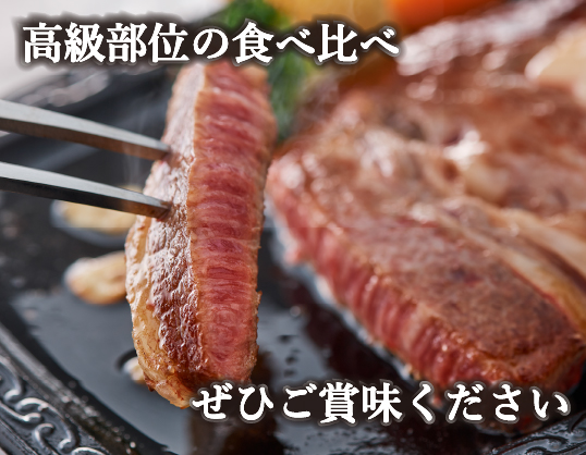 【A4等級以上】黒毛和牛ステーキ肉高級部位２種＜リブロース・サーロイン＞食べ比べ（計900ｇ）